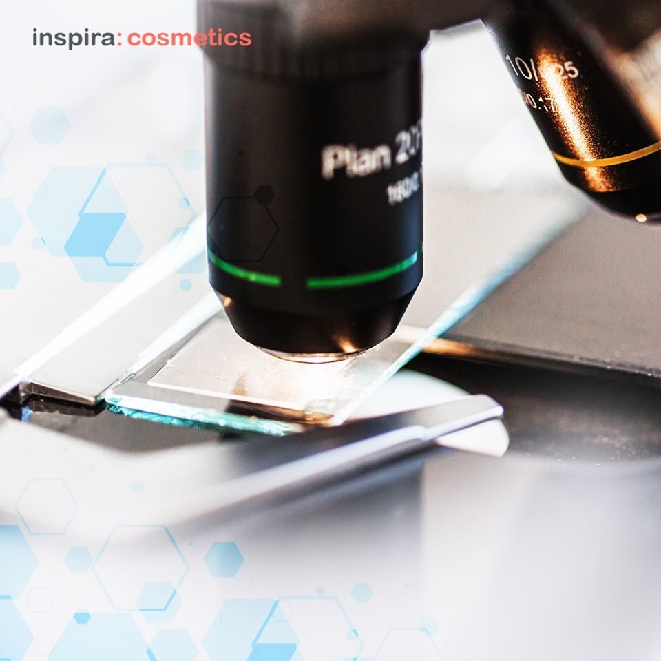 inspira lab 2